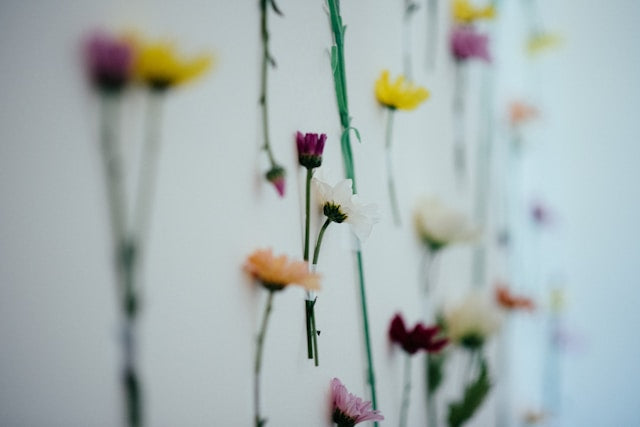 Floral Wall