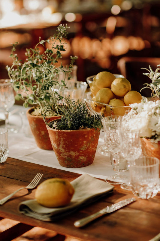 Additional Greenery in Terracotta Pots