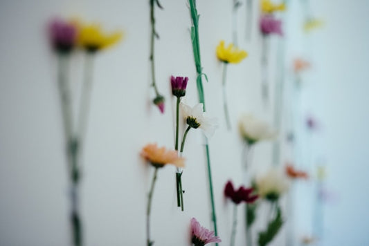Floral Wall